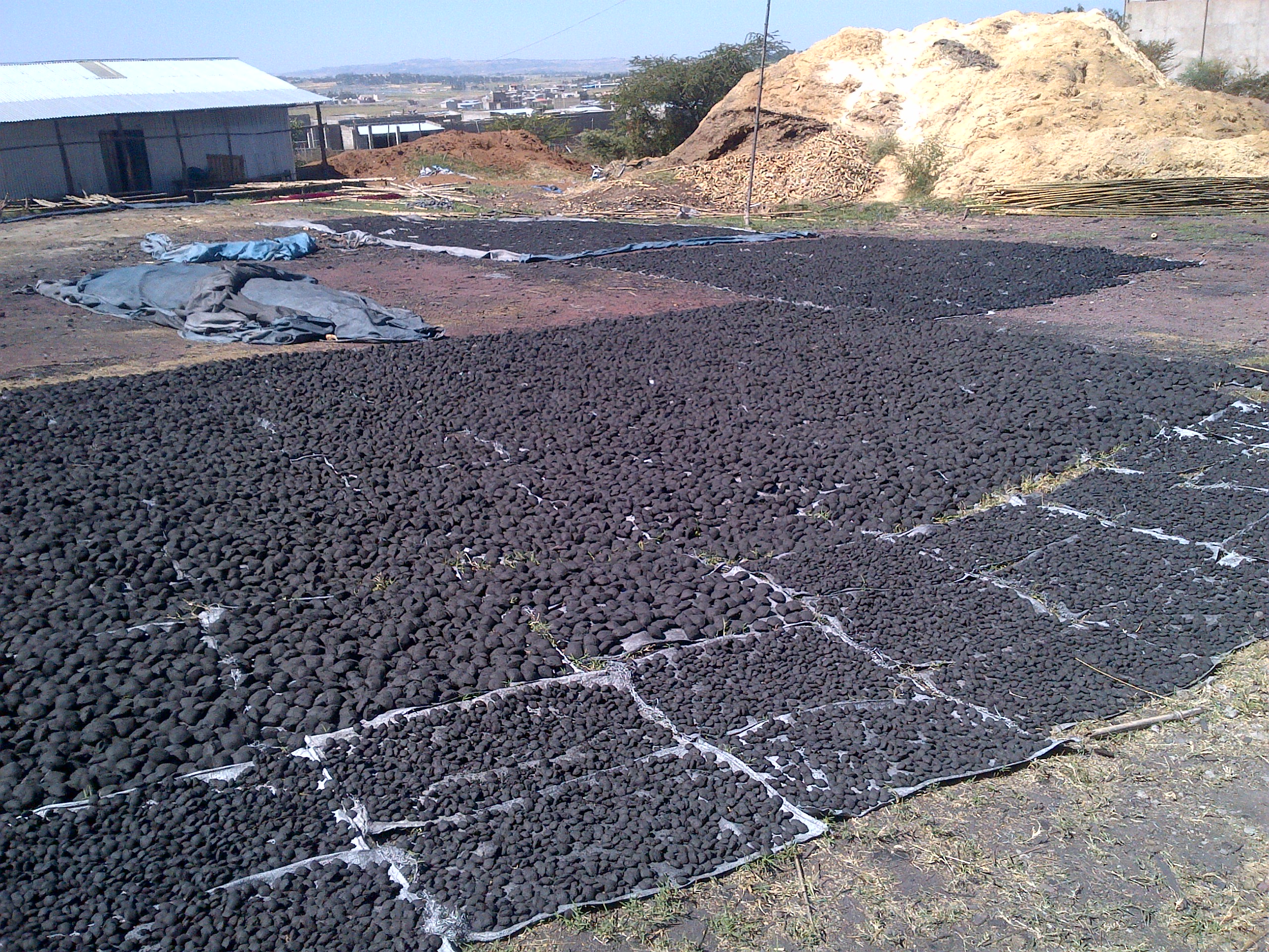 Charcoal production site in Addis Ababa, Ethiopia