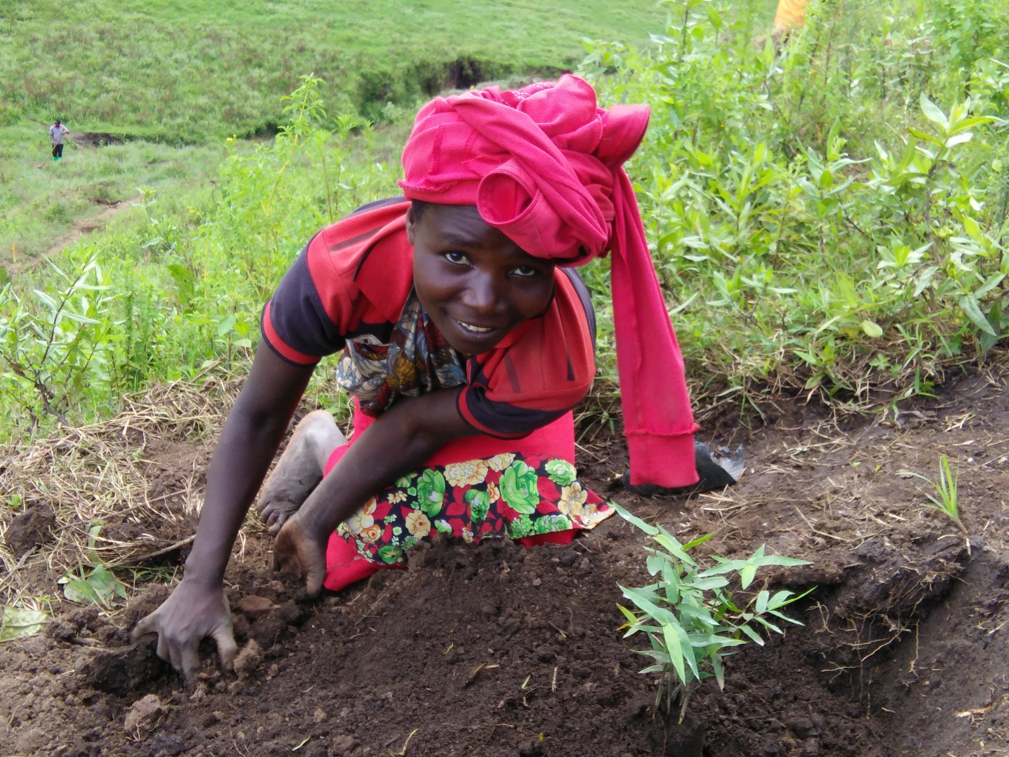 Woman planting bamboo in Tanzania